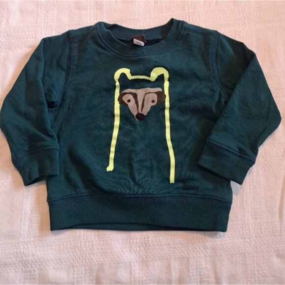Tea Collection boys size 9-12 months green sweatshirt VGUC - Picture 1 of 3